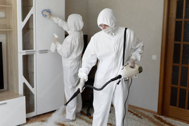 Best Black Mold Removal  in Webster, SD