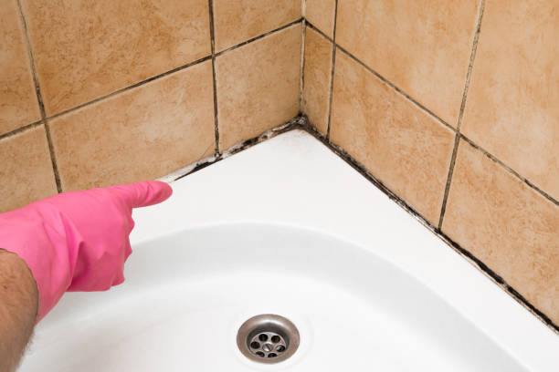 Best Water Damage Restoration  in Webster, SD